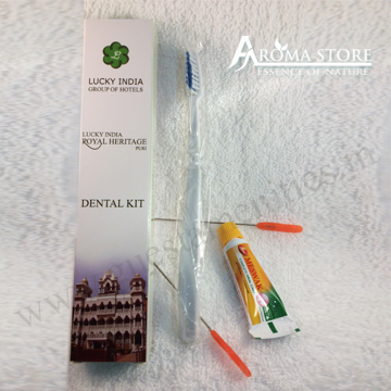 Hotel Dental Kit